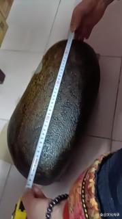 和田玉《带皮籽料原石》
